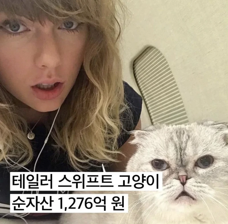 재산이 1200억원이나 있는 냥이