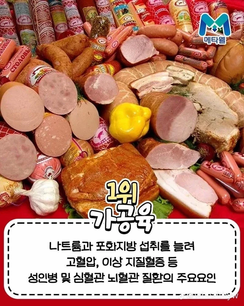 사망율 높이는 음식 순위 top10-10