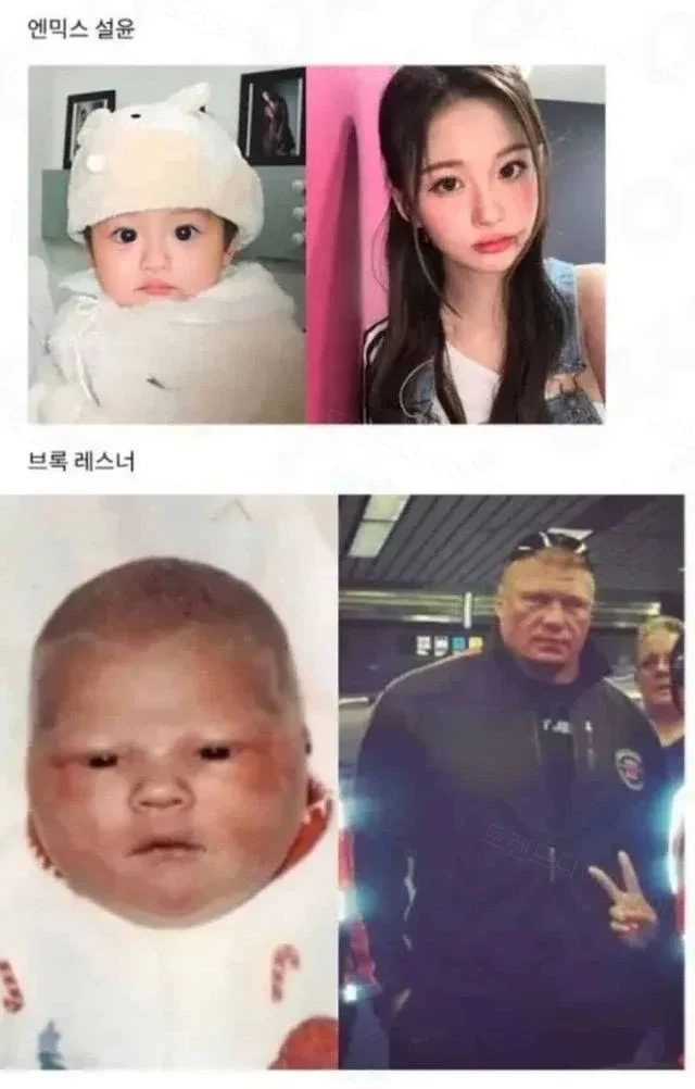 노성형 인증 레전드