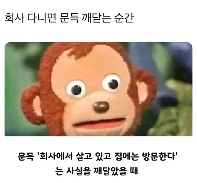 회사 다니면 문뜩 드는 생각