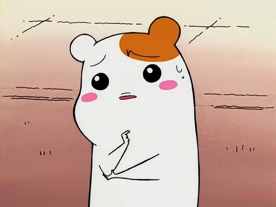 30년 째 검토만 한다는 수도권 난제-11