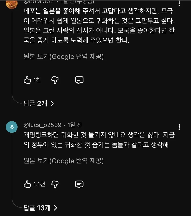 하반신 시신 37구 퍼트린 혐한 유튜버 근황-8