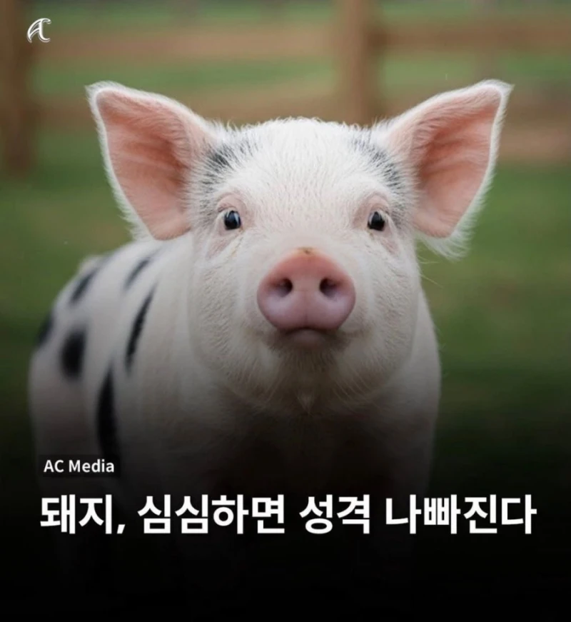 인터넷상에 인성 나쁜 사람이 많이 보이는 이유