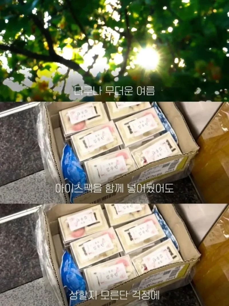 백일떡을 엘리베이터에 두었더니 이웃들 반응-5