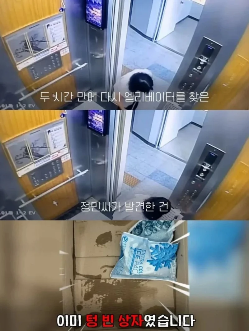 백일떡을 엘리베이터에 두었더니 이웃들 반응-6