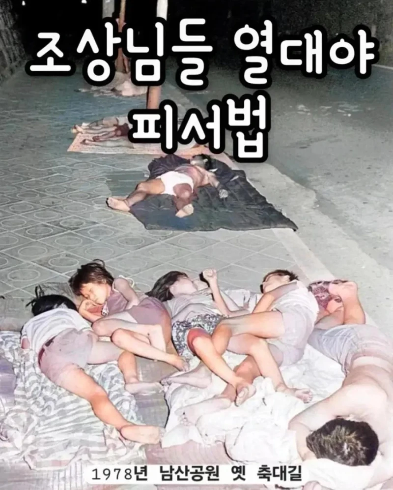 조상님들 열대야 피서법