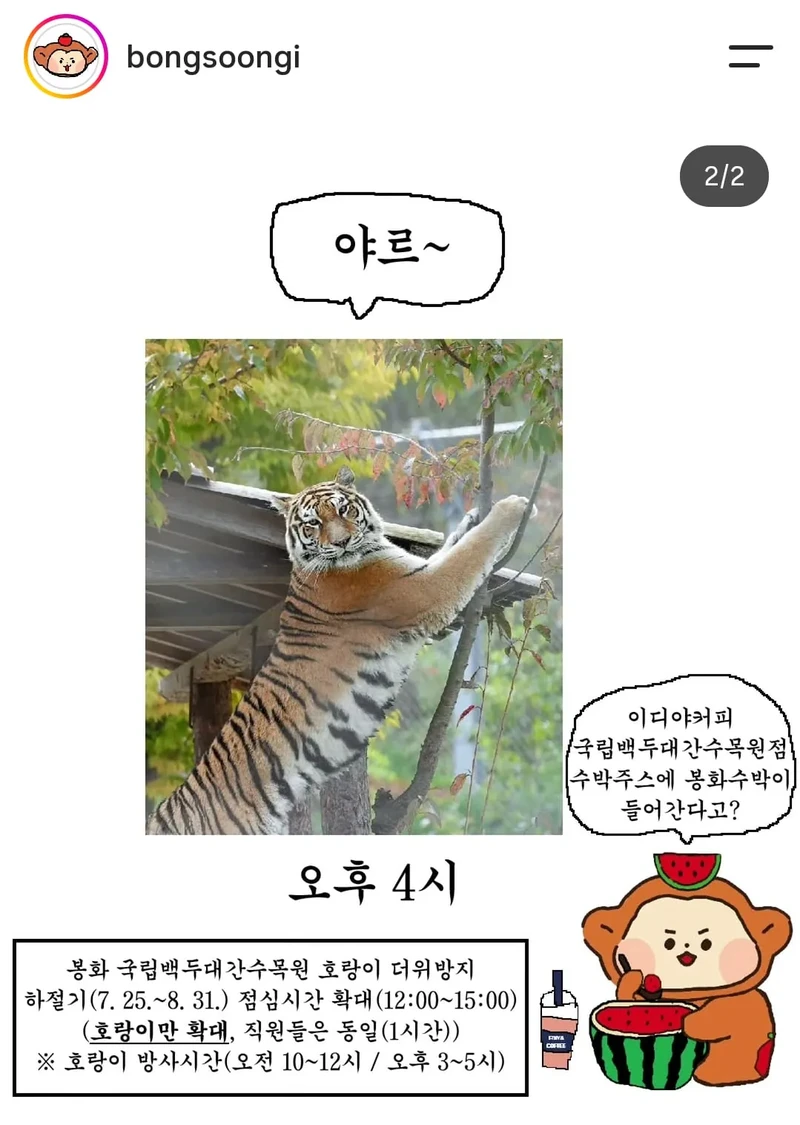 요즘 폼 좋은 봉화군 sns-2