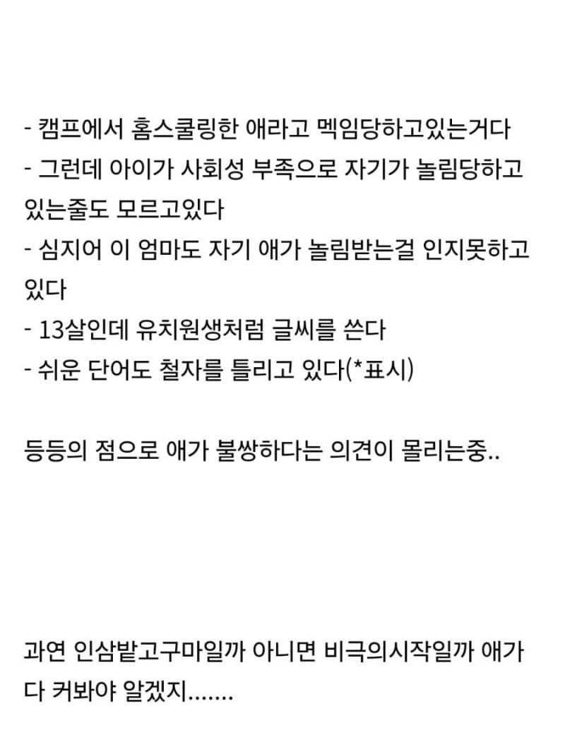 미국 홈스쿨링 맘 "애가 여름캠프 가서 칭찬받았다"-3