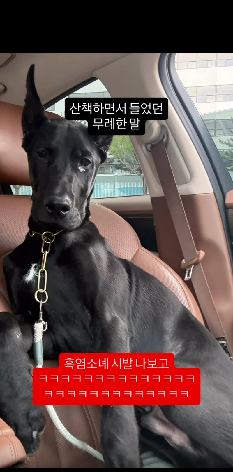 산책하면서 들었던 무례한 말