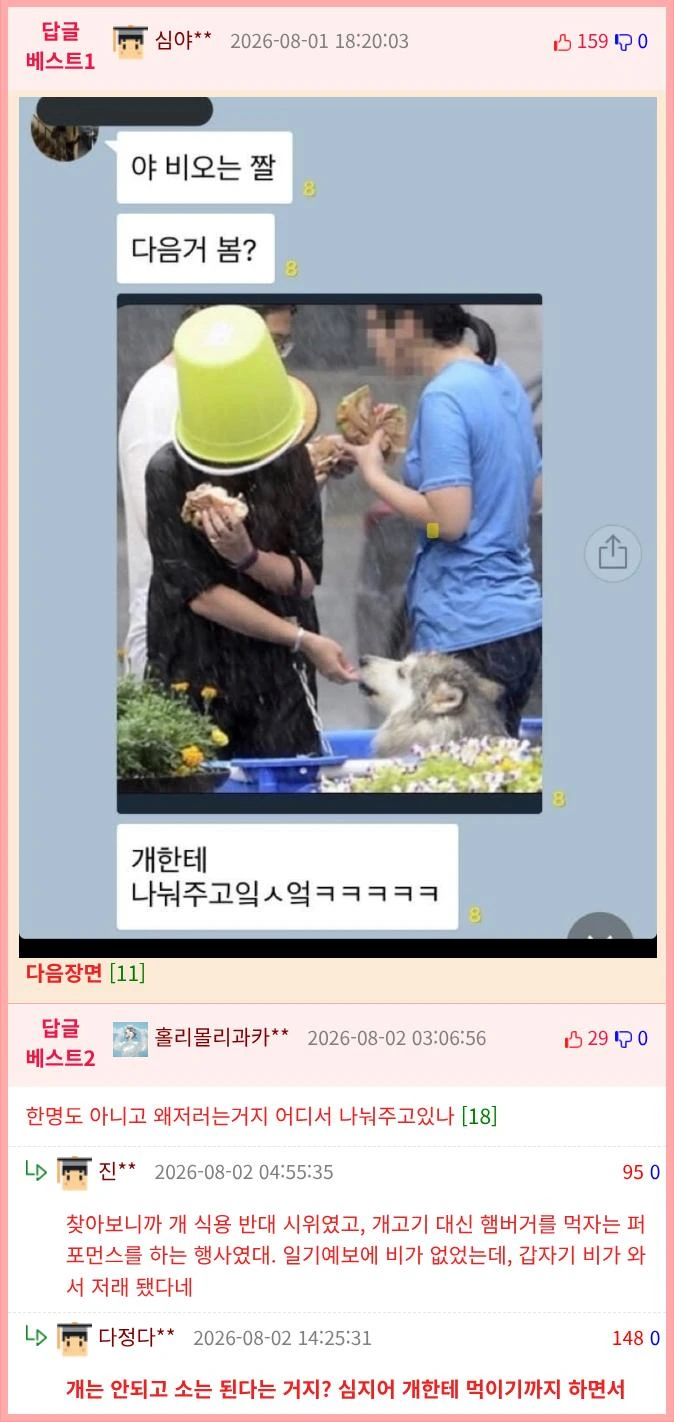 왜...이분은 바가지를 쓰고 비를 맞으며 햄버거를 드시고 계신가-2